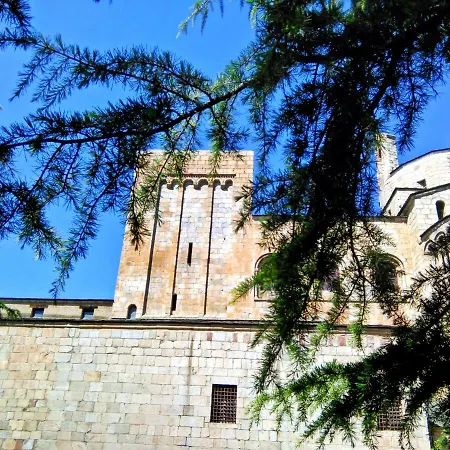 Rec Dels Noguers Castellciutat